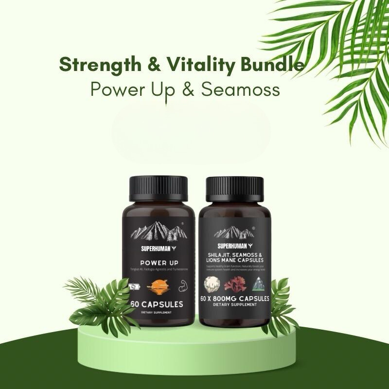 Shilajit, Lion’s Mane + Tongkat Ali Bundle